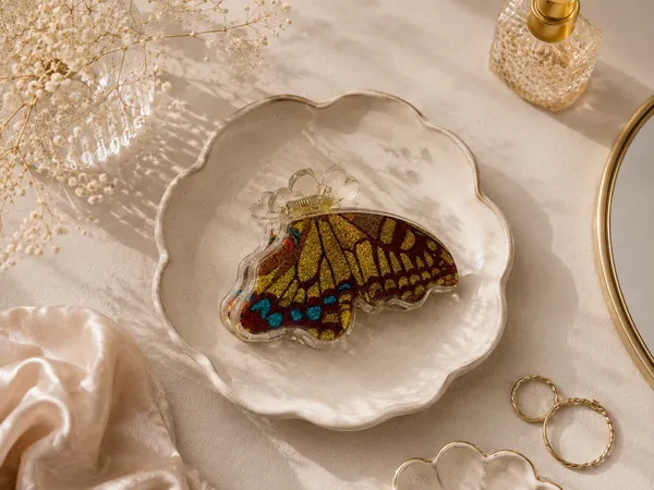 Multicolour_Butterfly_Acrylic_Hair_Clip_for_Women