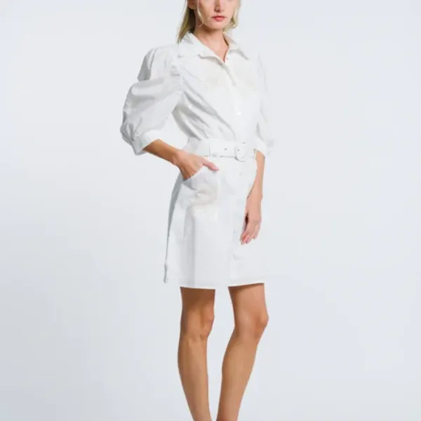Saige_Embroidered_Puff_Sleeve_Cotton_Shirt_Dress