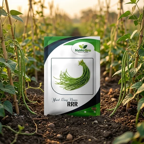 Yard_Long_Bean_RRR_(100_GM)