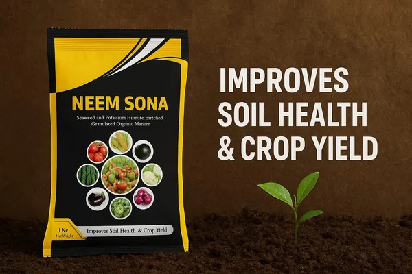 NEEM_SONA_(1_KG)