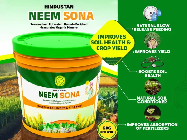 Neem_Sona_