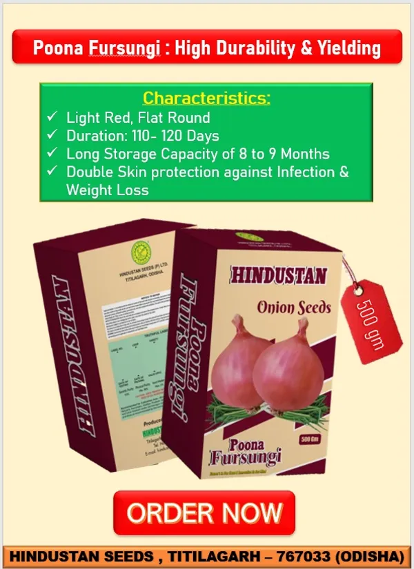 ONION_POONA_FURSUNGI_(500_GM)