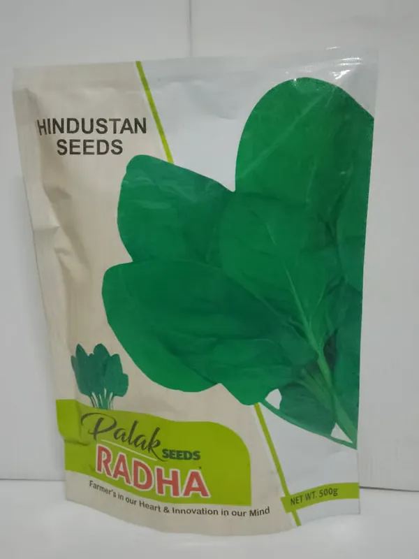 PALAK_SAGA_HSPL_RADHA_(500_GM)