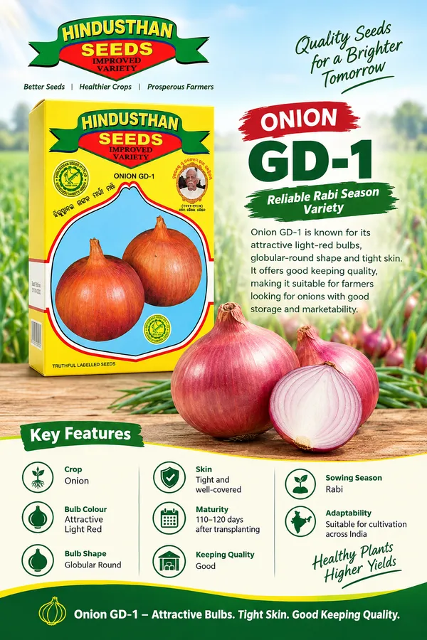 ONION_GD1_(500_GM)