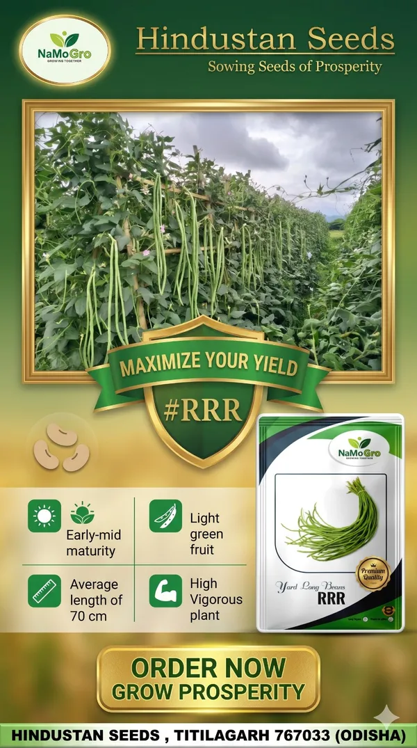 Yard_Long_Bean_RRR_(100_GM)