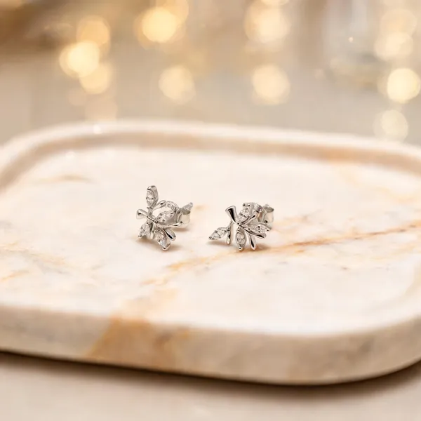 Silver_Tone_925_Silver_Earrings_For_Women_(Pack_of_2_)