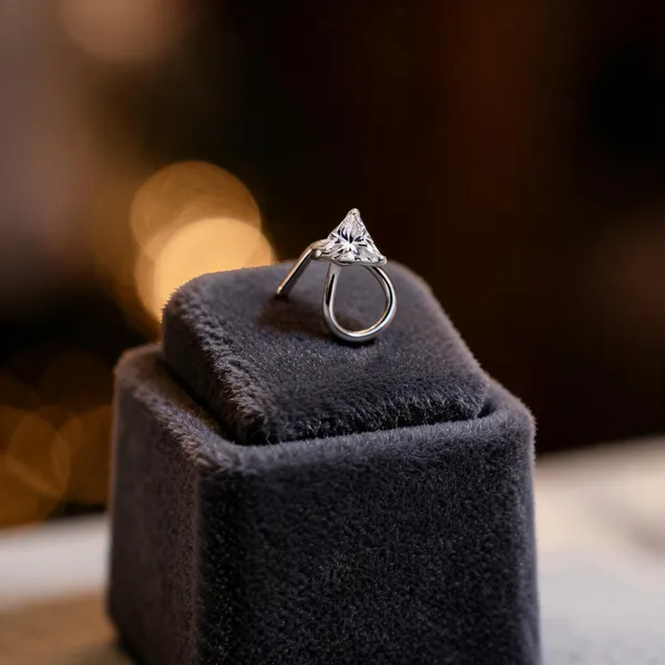 Silver_925_Silver_Nose_Ring_For_Women_(Pack_of_2_)