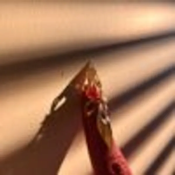 Aurelia_Bloom_Nail_Ring