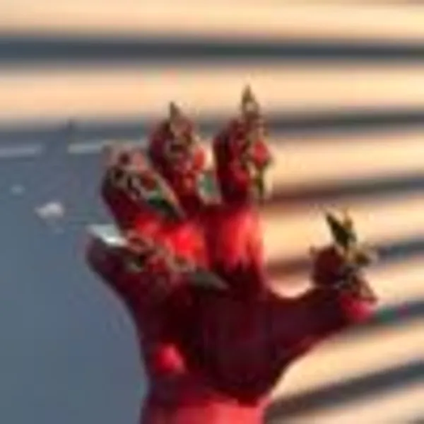 Aurelia_Bloom_Nail_Ring
