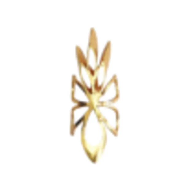 Dragon_Claw_Nail_Ring