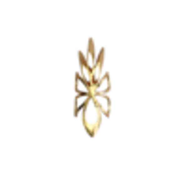 Dragon_Claw_Nail_Ring