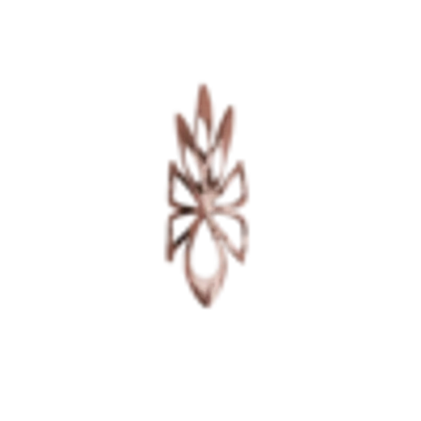 Dragon_Claw_Nail_Ring