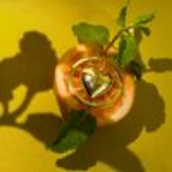 Floating_Heart_Ring