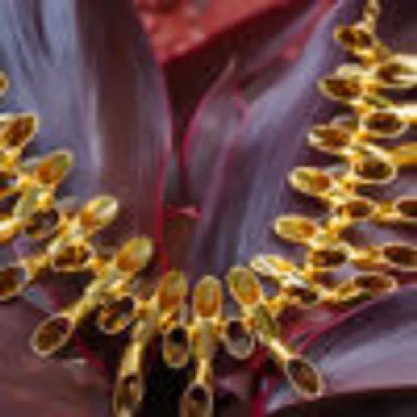 Nature_S_Intricacy_Necklace
