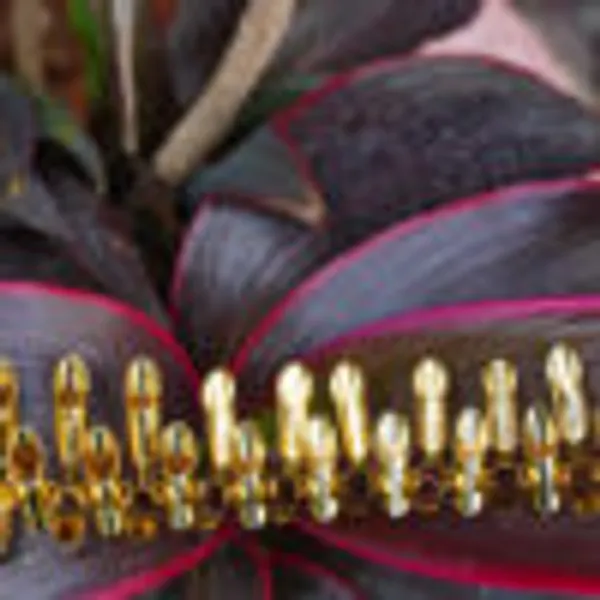Nature_S_Intricacy_Necklace