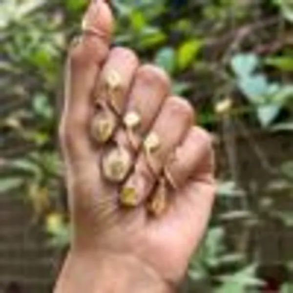 Twin_Leaf_Nail_Ring