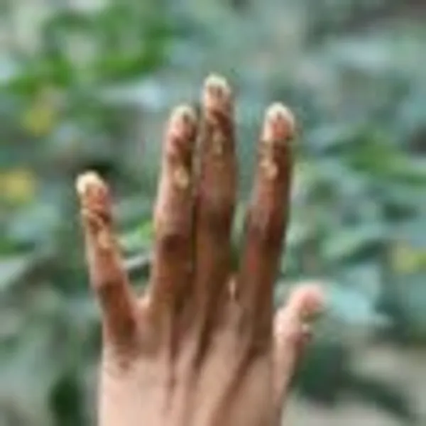 Twin_Leaf_Nail_Ring