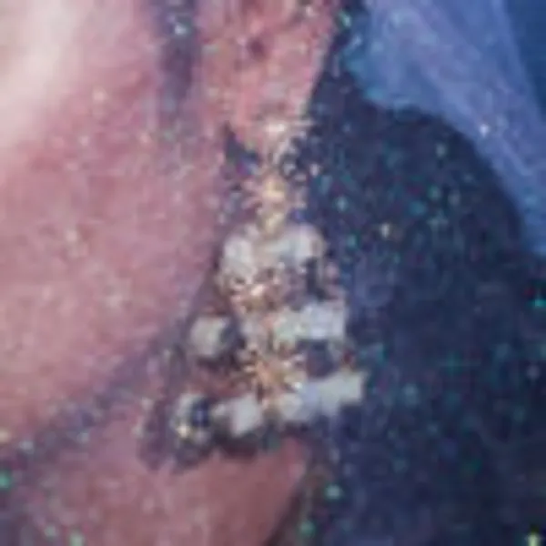 Galaxies_Of_Dreams_Jhumki_Green