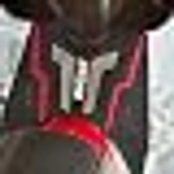 Ramanta_Ntorq_125_Ntorq_125_Xp_125_Xt_1_Pc_Blck