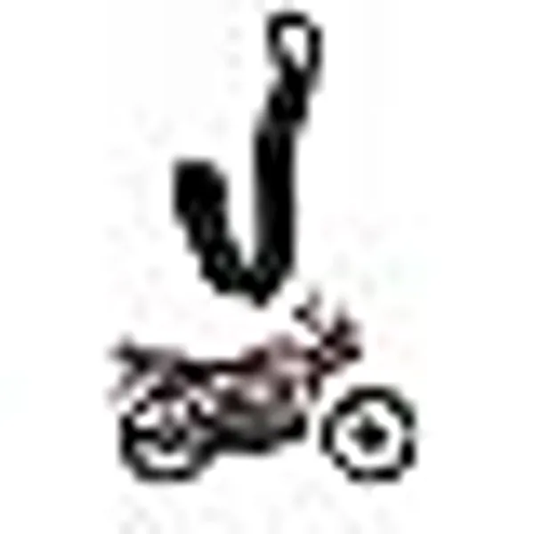 Pillion_Royal_Enfield_Classic_350_350