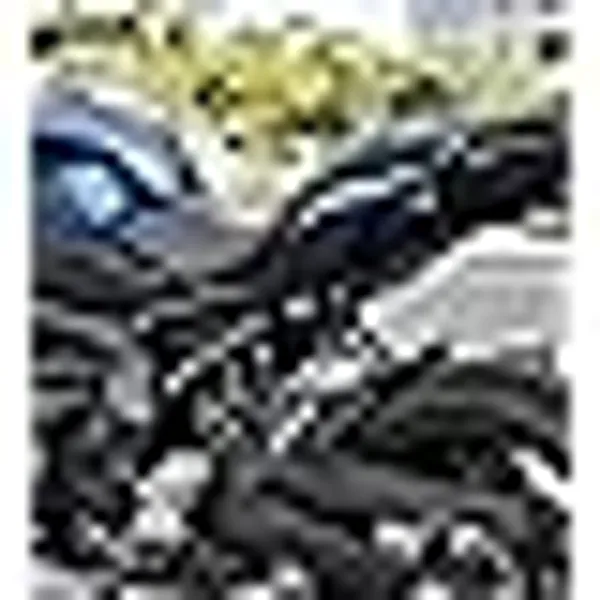 Pillion_Royal_Enfield_Classic_350_350