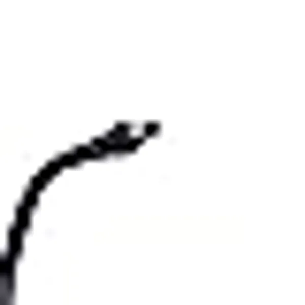 Nikavi_Mr786r_Bjaj_Xcd