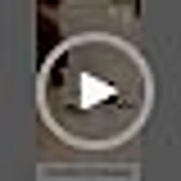 Nikavi_Brp03_Kbx