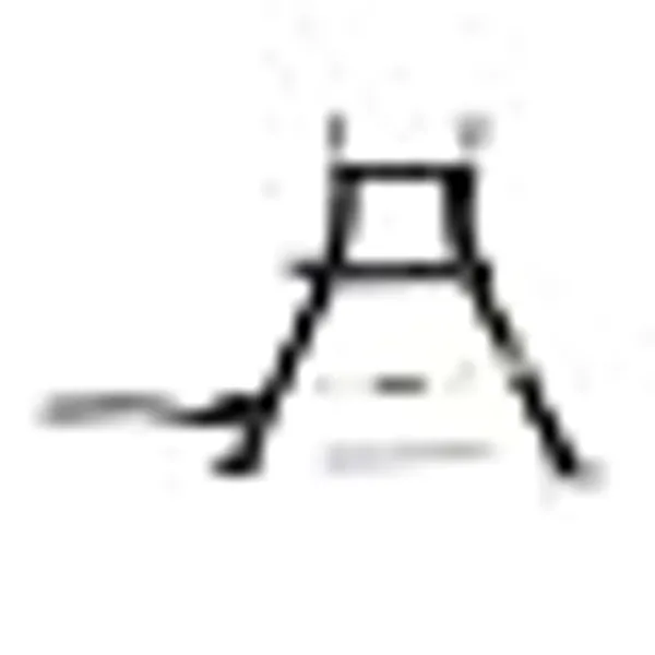 Center_Stand_Main_Stand_Compatible_With_Honda_Shine_Bs6_Heavy_Duty_Middle_Stand_Black_Steel_Spare_Part_For_Two_Wheeler_Stability_And_Support