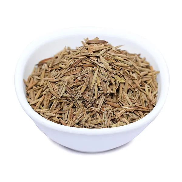 Holarrhena_Pubescens__Inderjau_kadwa