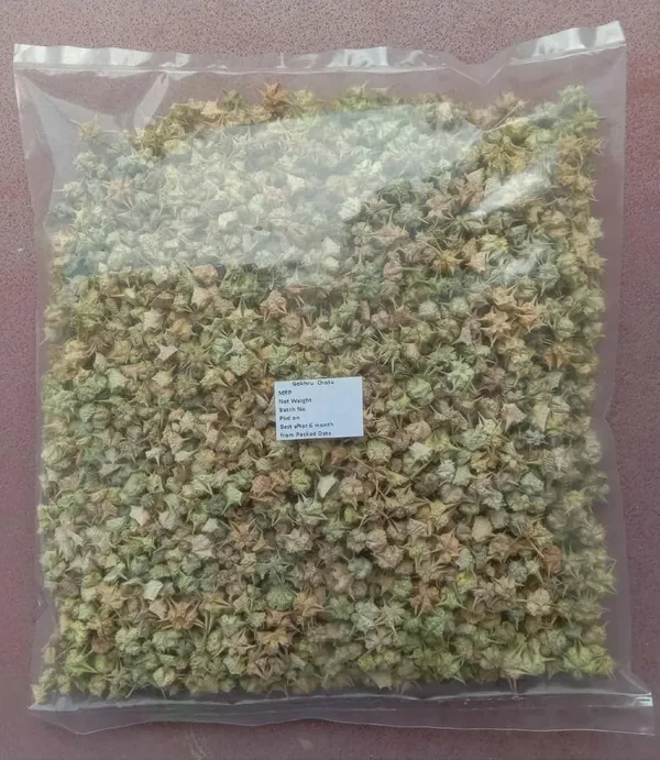 Tribulus_Terrestris_Seeds_Gokhru_chota
