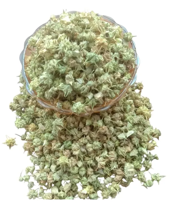 Tribulus_Terrestris_Seeds_Gokhru_chota