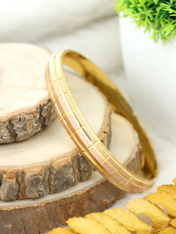 City_Girl_24ct_Rose_Gold_And_Gold_Plated_Anti_Tarnish_Iron_Kada_Bangle_Bracelet_For_Men_And_Boys_1_Pc_Kada_120