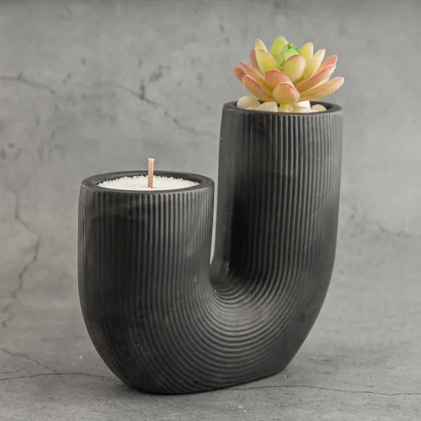 Harmony_Duo