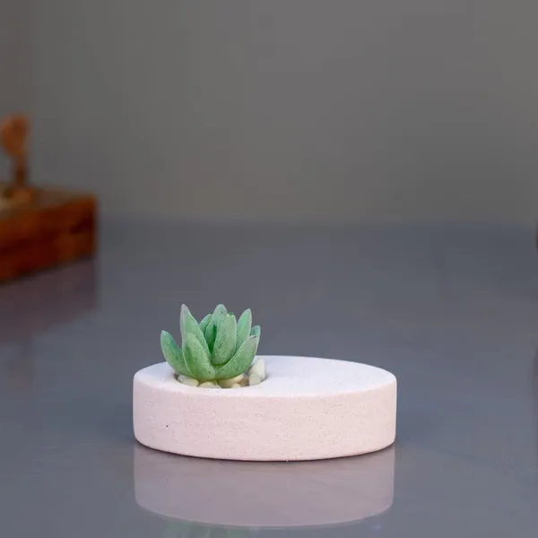 Eco_Elegance_-_Oblong