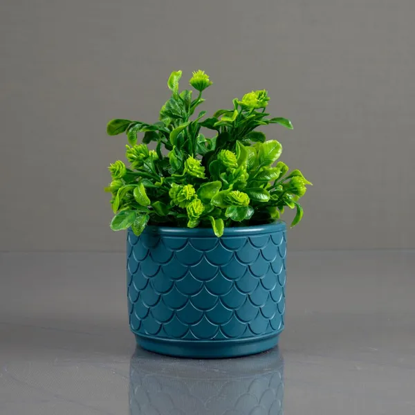 Mini_Greens_-_Waves