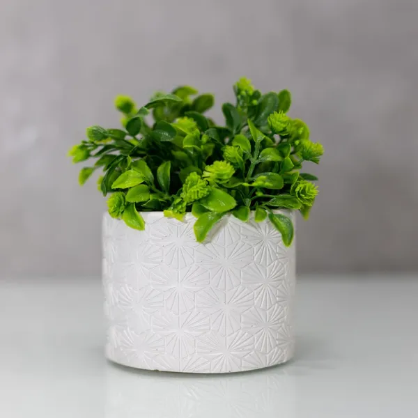 Mini_Greens_-_Reflection