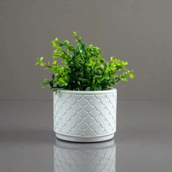 Mini_Greens_-_Waves