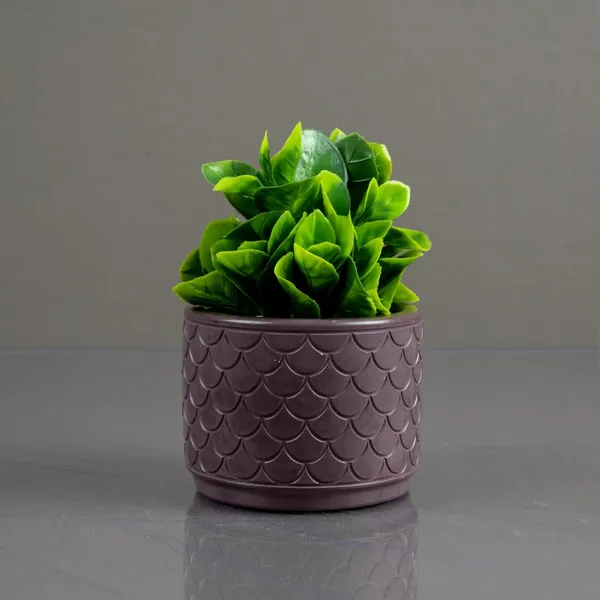 Mini_Greens_-_Waves