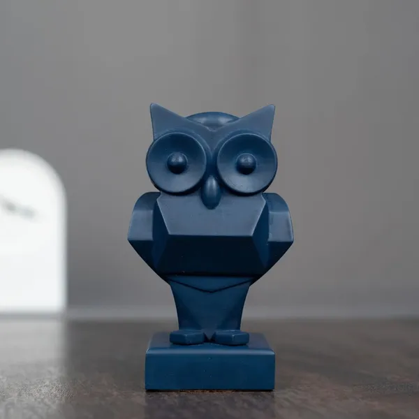 Owl_Odyssey
