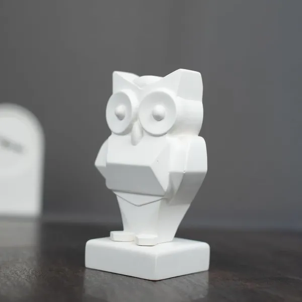 Owl_Odyssey