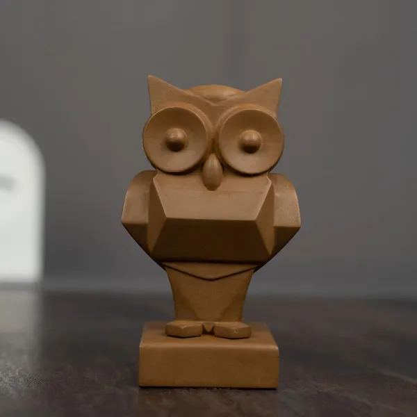 Owl_Odyssey