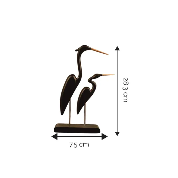 Swan_Serenade