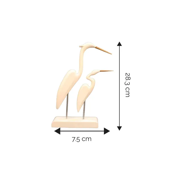 Swan_Serenade