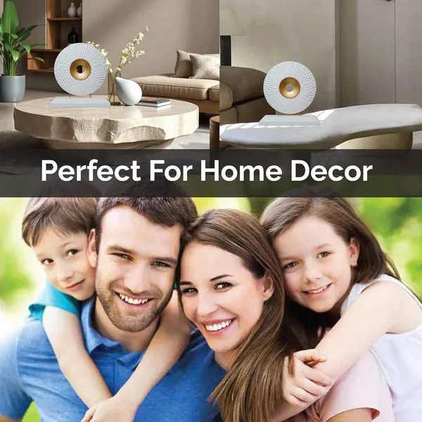 Echo_Loop_Decorative_Showpiece