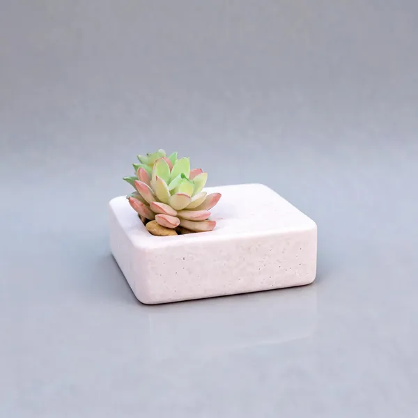 Acrylic_Polymer_Minimalist_White_Enigma_Planter