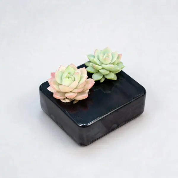 Acrylic_Polymer_Minimalist_Black_Enigma_Planter