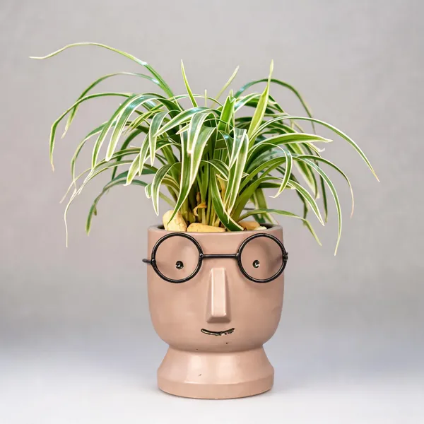 Acrylic_Polymer_Quirky_Face_Brown_Speckled_Planter