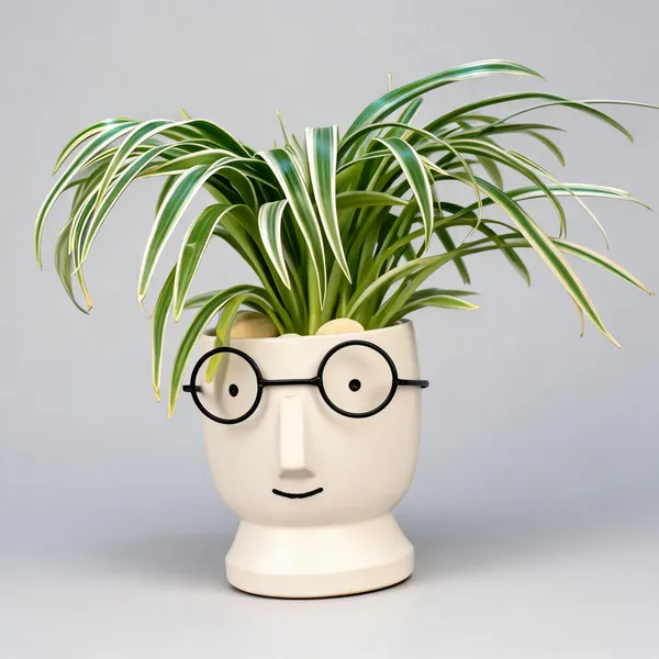 Acrylic_Polymer_Quirky_Face_Off_White_Speckled_Planter