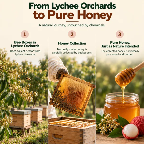 Lychee_Honey_|_350g