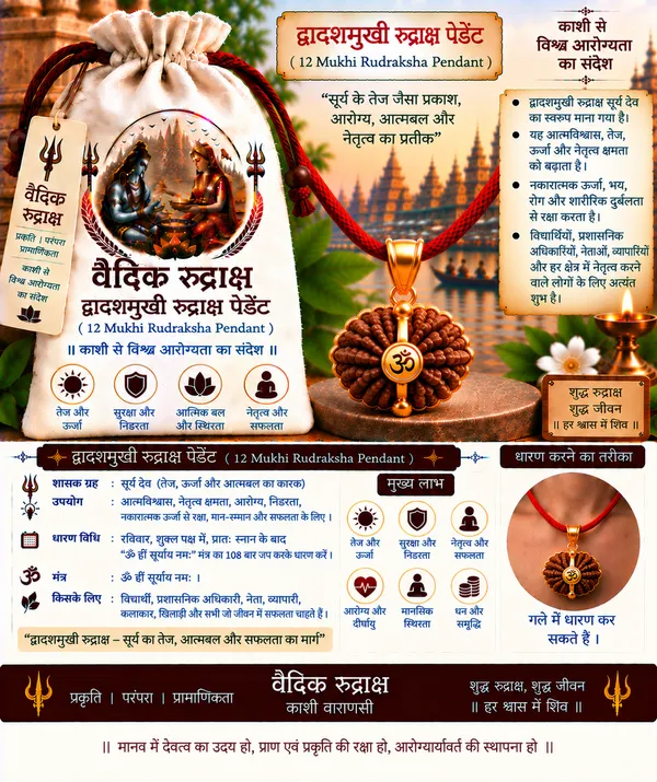 Brown_Rudraksha_12_Mukhi_Om_Pendant_For_Unisex